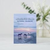 アサテーハアイランドナショナルシーショアウマヴィンテージ ポストカード (スタンド正面)