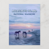 アサテーハアイランドナショナルシーショアウマヴィンテージ ポストカード (正面)