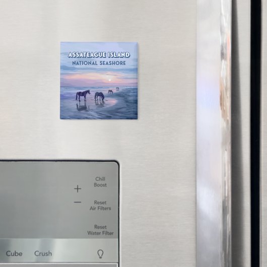 アサテーハアイランドナショナルシーショアウマヴィンテージ マグネット (インサイチュ (冷蔵庫))