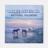 アサテーハアイランドナショナルシーショアウマヴィンテージ マグネット (正面)