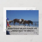 アサテーハアイランドポニーズテイクバックビーチ ポストカード (正面/裏面)