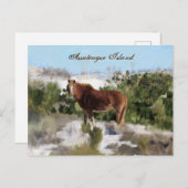 アサテーハアイランドワイルドホース ポストカード (正面/裏面)