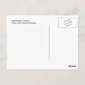 アサテーハカヌー ポストカード (裏面)