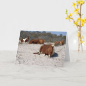 アサテーハ国立公園で野生のポニーを眠る カード (黄色い花)