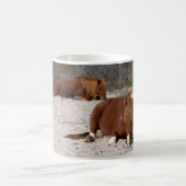 アサテーハ国立公園で野生のポニーを眠る コーヒーマグカップ (中央)