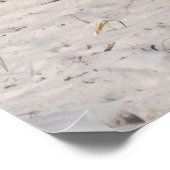 アサテーハ国立公園で野生のポニーを眠る ポスター (角)