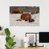 アサテーハ国立公園で野生のポニーを眠る ポスター (ホームオフィス)