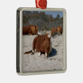 アサテーハ国立公園で野生のポニーを眠る メタルオーナメント (右)