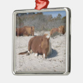 アサテーハ国立公園で野生のポニーを眠る メタルオーナメント (左)