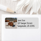 アサテーハ国立公園で野生のポニーを眠る ラベル (インサイチュ)