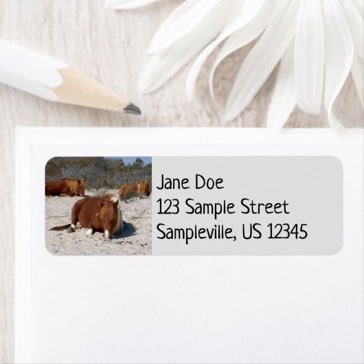 アサテーハ国立公園で野生のポニーを眠る ラベル (インサイチュ)