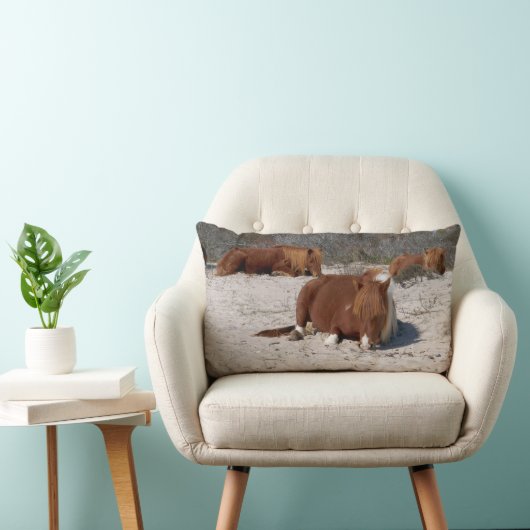 アサテーハ国立公園で野生のポニーを眠る ランバークッション (椅子)