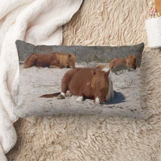 アサテーハ国立公園で野生のポニーを眠る ランバークッション (ブランケット)