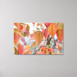 アサトゥプラントベビー離れロードブッダ キャンバスプリント