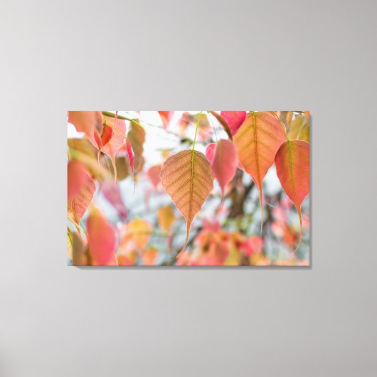 アサトゥプラントベビー離れロードブッダ キャンバスプリント (正面)