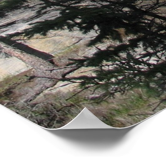 アサバスカ秋 ポスター (角)