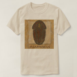 アサフィスカス 化石 三葉虫 Tシャツ