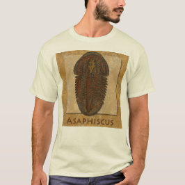 アサフィスカス 化石 三葉虫 Tシャツ