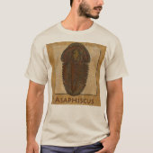 アサフィスカス 化石 三葉虫 Tシャツ (正面)