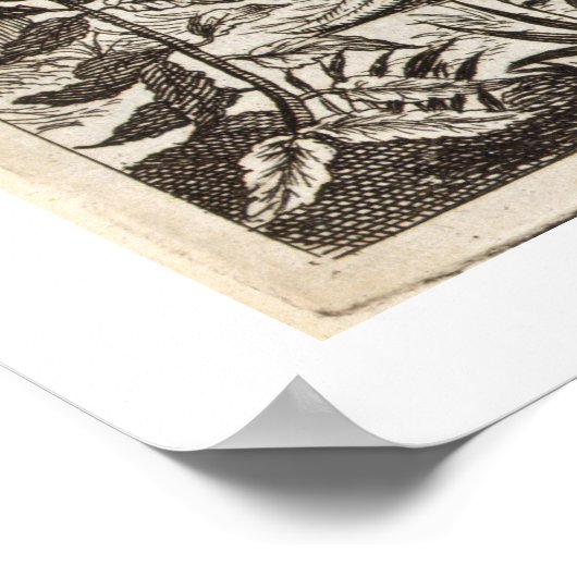 アサンの「中国」から図解入りの、写真付きのの石蛇 ポスター (角)