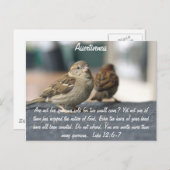 アサーションはがき – スパローズ引用文 ポストカード (正面/裏面)