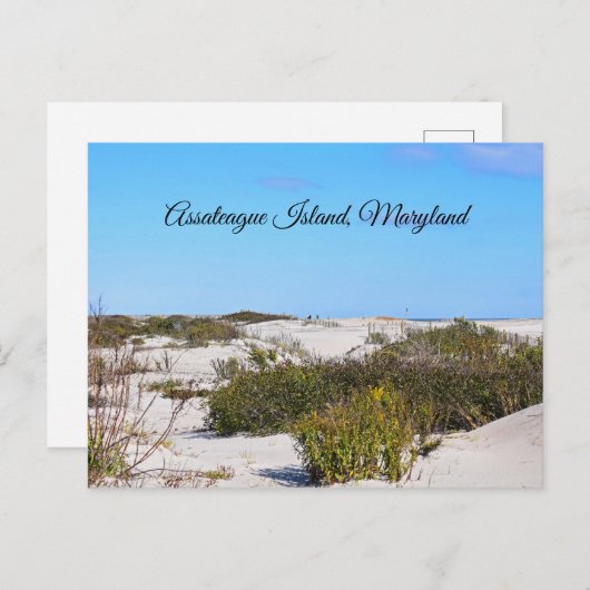 アサーティーグ島はがき ポストカード (正面/裏面)