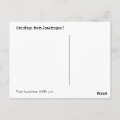 アサーテハの群れ ポストカード (裏面)