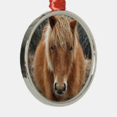 アサーテハホースミエケズノーラニポートレート メタルオーナメント (右)