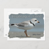 アサーテハーアイランドパイピングプローバー ポストカード (正面/裏面)