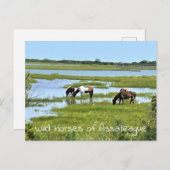 アサーテハーグの野生の馬 ポストカード (正面/裏面)