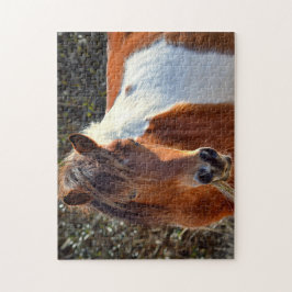 アサーテハーピントマーレさんマッキー ジグソーパズル