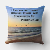 アサ飛んでいるリ4:13枕 クッション (正面)