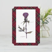 アザミと格子柄 (スタンド正面)