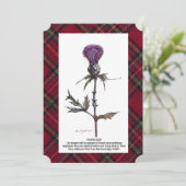 アザミと格子柄 (スタンド正面)