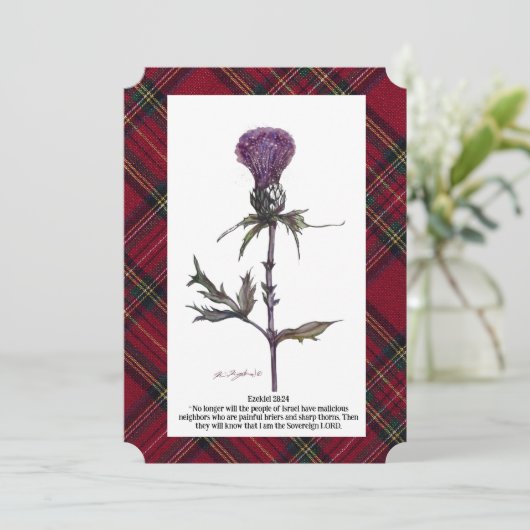 アザミと格子柄 (スタンド正面)