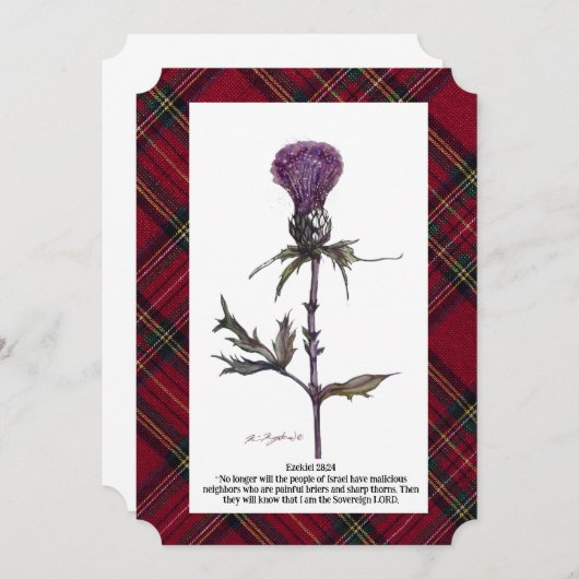 アザミと格子柄 (正面/裏面)