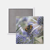 アザミに似ている マグネット (正面/裏面)