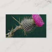アザミのヘッド花 名刺 (裏面)