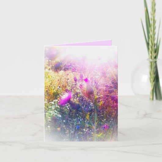 アザミの上の新しい太陽の小さなグリーティングカード カード (正面)