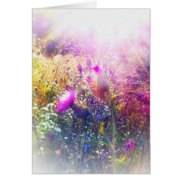 アザミの小さい挨拶状の日曜日