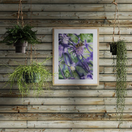 アザミの花に止まるホソヒラタアブ フォトプリント           