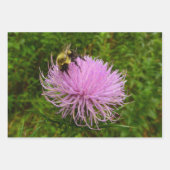 アザミの花の上のミツバチの自然 ラッピングペーパーシート (正面)