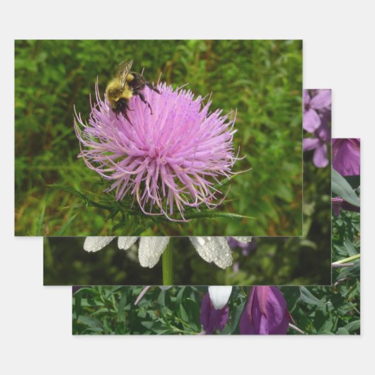 アザミの花の上のミツバチの自然 ラッピングペーパーシート (セット)