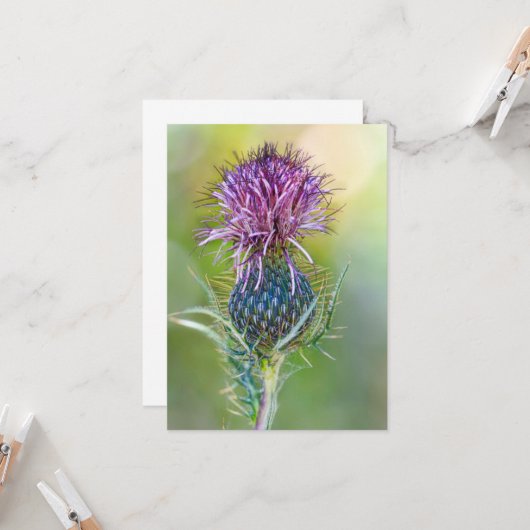 アザミの花 カード (正面/裏面インサイチュ)