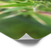 アザミの花 ポスター (角)