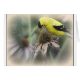 アザミのGoldfinch