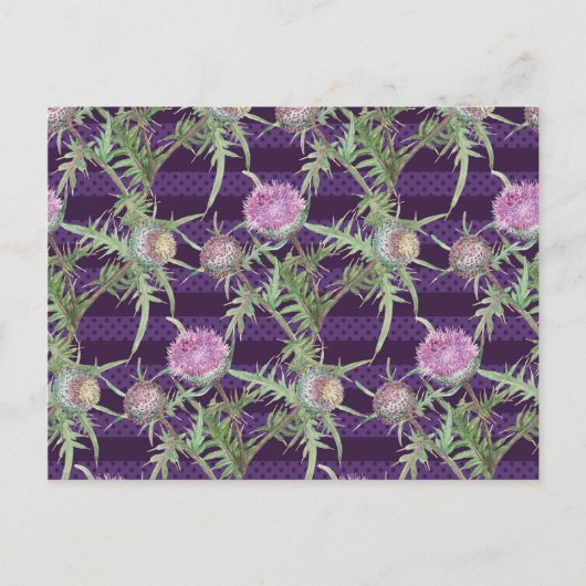 アザミ花 ポストカード (正面)