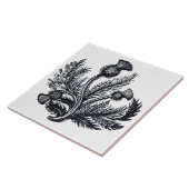 アザミ タイル (側面)