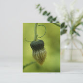 アザミ ポストカード (スタンド正面)