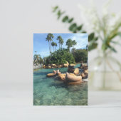 アザラシとアシカ ポストカード (スタンド正面)